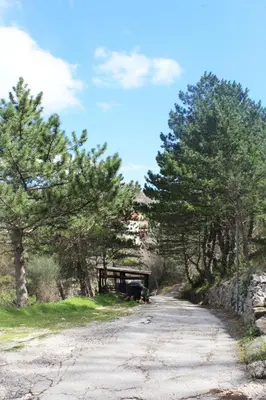 Priroda u blizini planinskih kuća