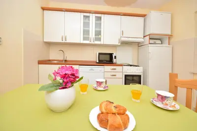 Kuhinja ili čajna kuhinja u objektu Apartments Regina