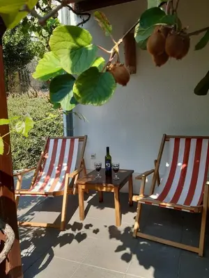 Tlocrt objekta Villa Delfin