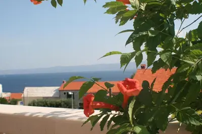 Priroda u blizini apartmana