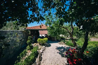 Vrt u objektu Apartments by the sea Podstrana, Split - 14982