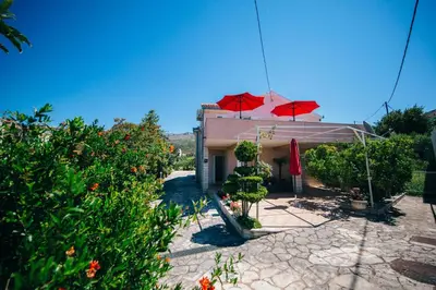Vrt u objektu Apartments by the sea Podstrana, Split - 14982