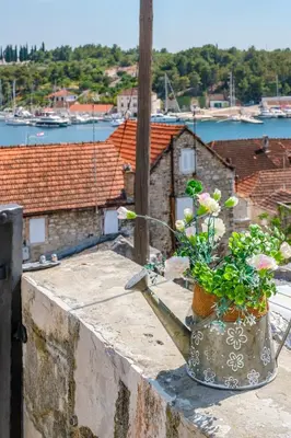 Priroda u blizini apartmana