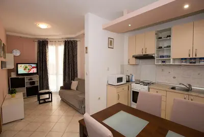 Kuhinja ili čajna kuhinja u objektu Apartman Roža