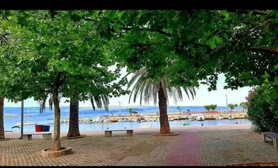 Priroda u blizini apartmana