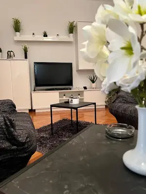 TV i/ili zabavni centar u objektu Apartmani Marjana