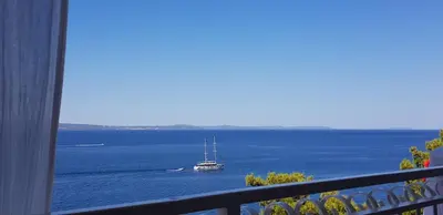 Priroda u blizini apartmana
