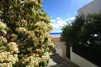 Priroda u blizini apartmana