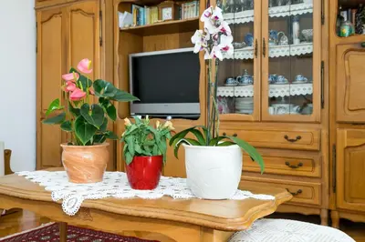 TV i/ili zabavni centar u objektu Marija Apartment