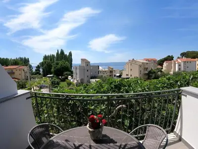 Pogled na planine ili pogled na planine iz apartmana