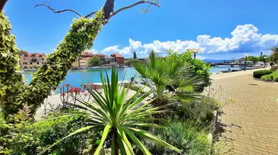 Priroda u blizini apartmana