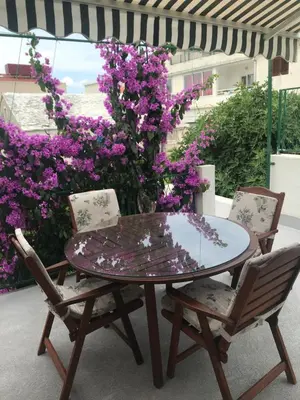 Vrt u objektu Sara Apartments Baska Voda