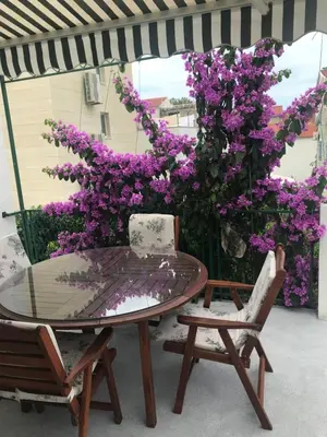 Tlocrt objekta Sara Apartments Baska Voda