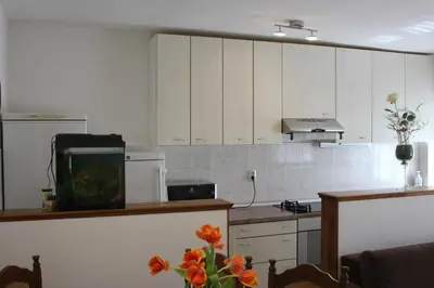 Kuhinja ili čajna kuhinja u objektu Apartman Tafra