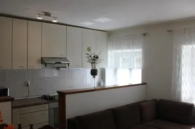 Kuhinja ili čajna kuhinja u objektu Apartman Tafra
