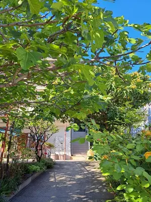 Vrt u objektu Apartman Adriatic Pavlinovic - Makarska