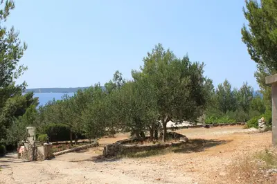 Priroda u blizini apartmana
