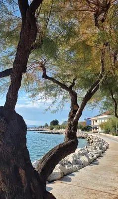 Priroda u blizini privatnih smještaja