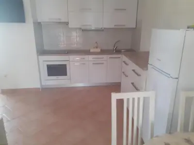 Kuhinja ili čajna kuhinja u objektu Apartmani Miletić