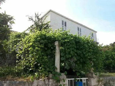 Vrt u objektu Apartments by the sea Hvar - 15401