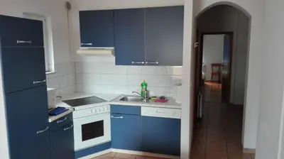 Kuhinja ili čajna kuhinja u objektu Apartmani 