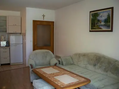 Kuhinja ili čajna kuhinja u objektu Apartmani Perkovic