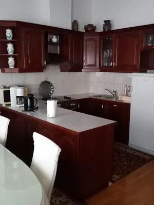 Kuhinja ili čajna kuhinja u objektu Apartments Raos