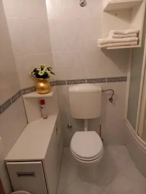 Kupaonica u objektu Apartments Raos