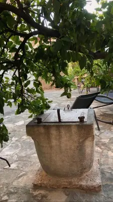 Vrt u objektu Lemon Tree