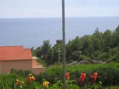 Priroda u blizini apartmana