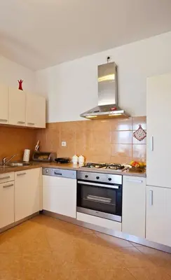 Kuhinja ili čajna kuhinja u objektu Apartments with parking space Gornje selo, Solta - 15545