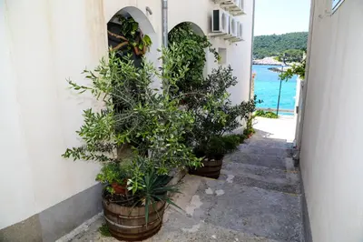 Priroda u blizini privatnih smještaja