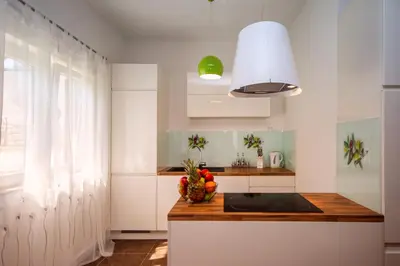 Kuhinja ili čajna kuhinja u objektu Villa Jasmina