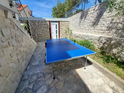 Stolni tenis u objektu Villa Jasmina ili u blizini