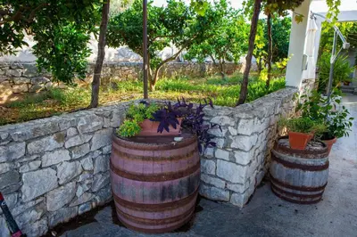 Vrt u objektu Apartments with parking space Sutivan, Brac - 752