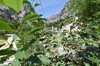 Priroda u blizini apartmana