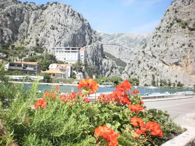 Priroda u blizini apartmana
