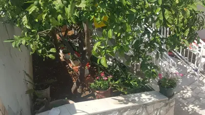 Vrt u objektu Double Room Hvar 15378a