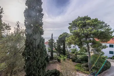 Priroda u blizini apartmana
