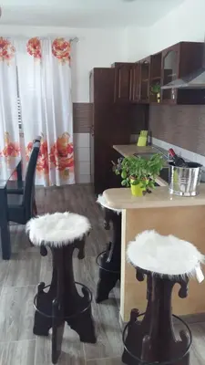 Kuhinja ili čajna kuhinja u objektu apartman Marina