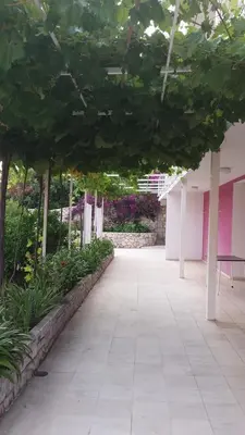 Vrt u objektu Apartment Hvar 15706c