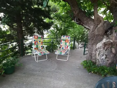 Vrt u objektu Apartments with a parking space Omis - 15830