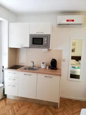 Kuhinja ili čajna kuhinja u objektu Apartments Iva und Franka