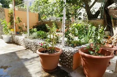 Vrt u objektu Apartmani Isabella