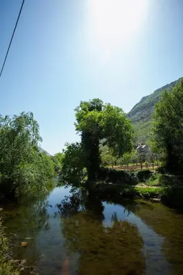 Priroda u blizini ladanjskih kuća