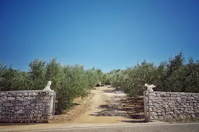 Priroda u blizini vikendica