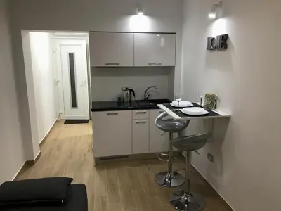 Kuhinja ili čajna kuhinja u objektu Apartman studio Ganga