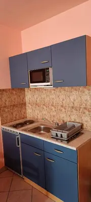 Kuhinja ili čajna kuhinja u objektu Villa DM
