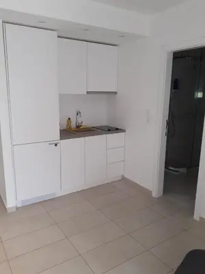 Kuhinja ili čajna kuhinja u objektu Villa Katarina
