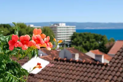 Priroda u blizini apartmana
